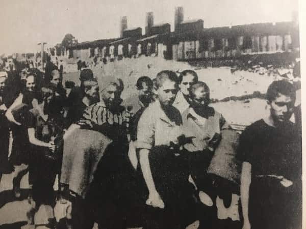 Zdjęcie z Auschwitz