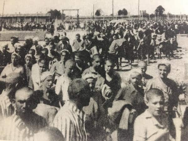 Zdjęcie z Auschwitz
